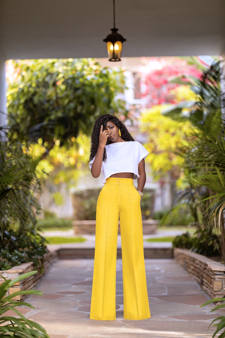 Buttoned-Back Crop + High Waist Pants – StylePantry