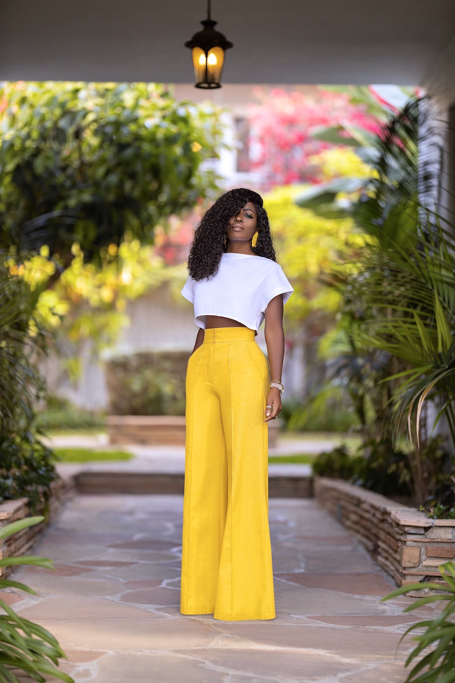 Buttoned-Back Crop + High Waist Pants – StylePantry