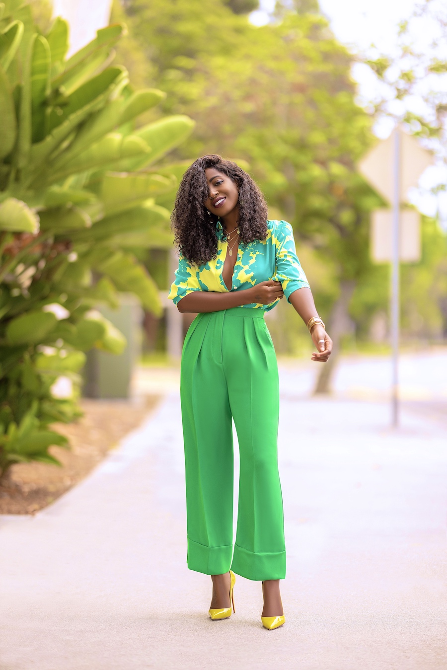 Blouson Sleeve Blouse + Ankle Length Pants – StylePantry