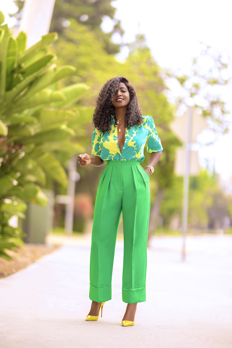 Blouson Sleeve Blouse + Ankle Length Pants – StylePantry