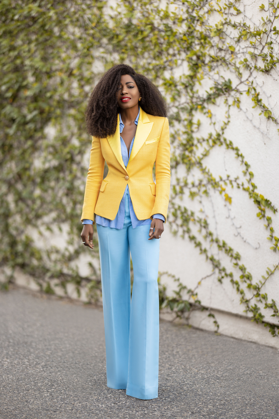 Fitted Blazer + Button Down + Structured Trousers – Stylepantry