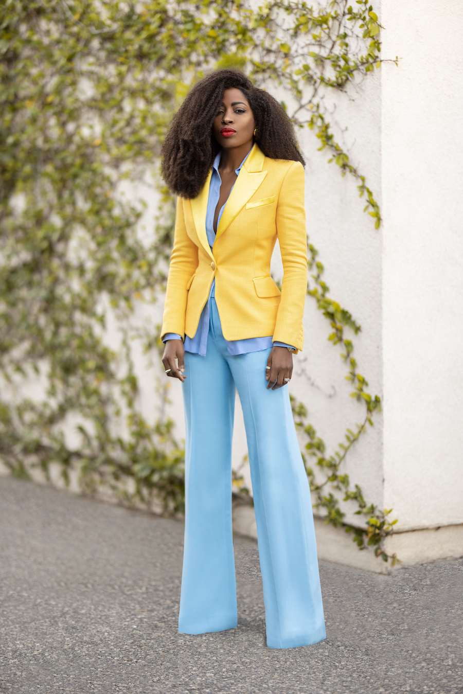 Fitted Blazer + Button Down + Structured Trousers – StylePantry